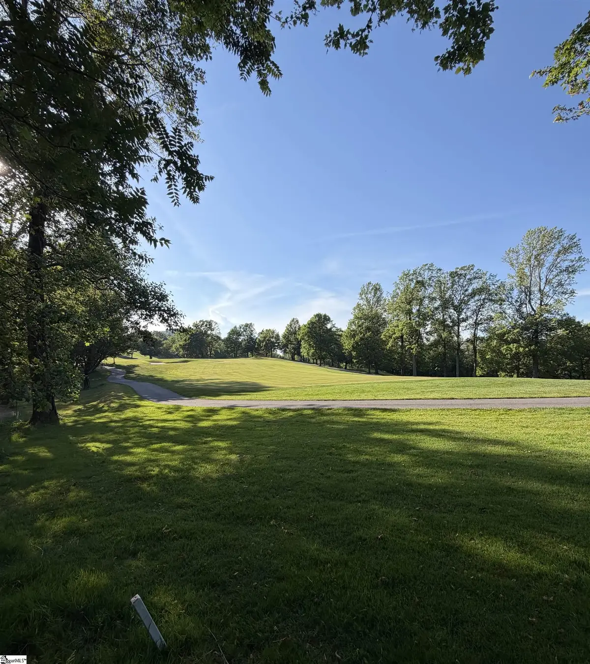 103 May Apple Way, Landrum, SC 29356 - #1