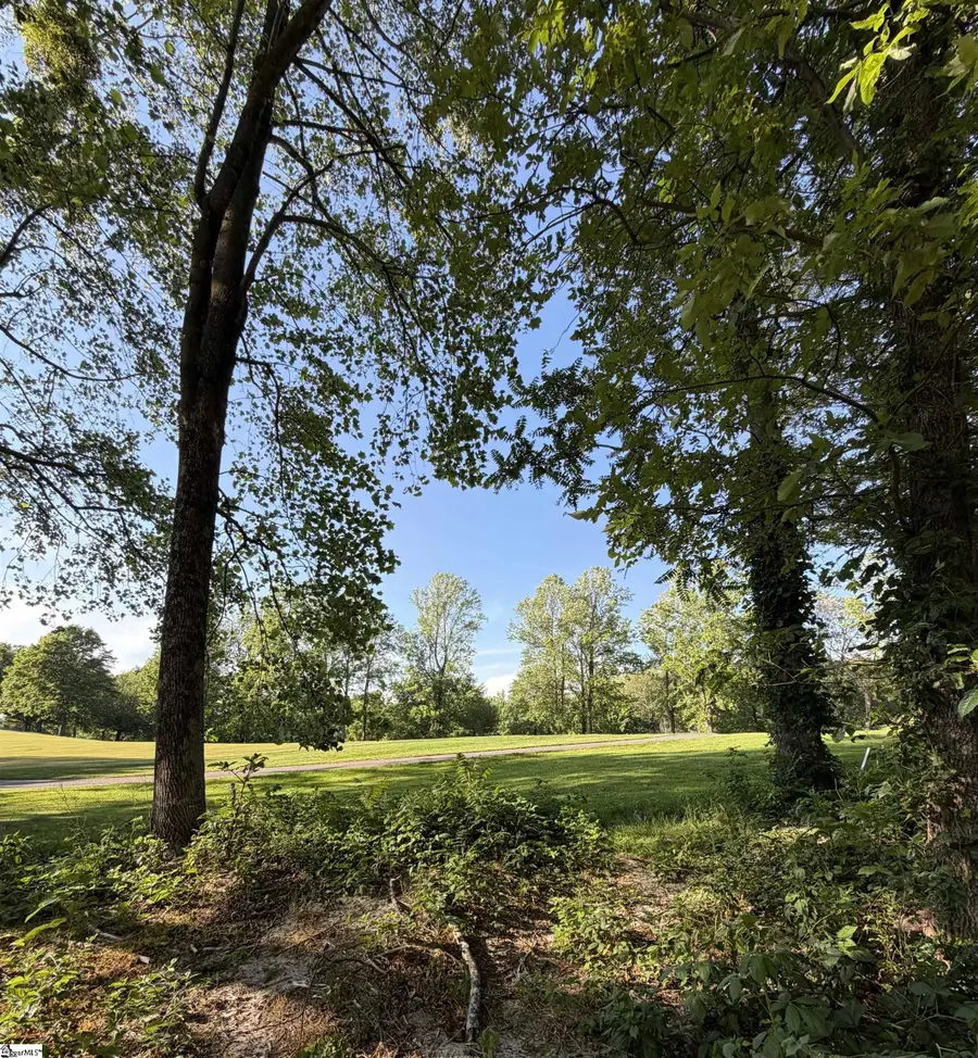 103 May Apple Way, Landrum, SC 29356 - #3