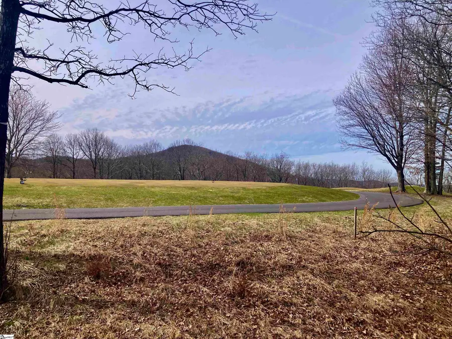 223 May Apple Way, Landrum, SC 29356 - #2