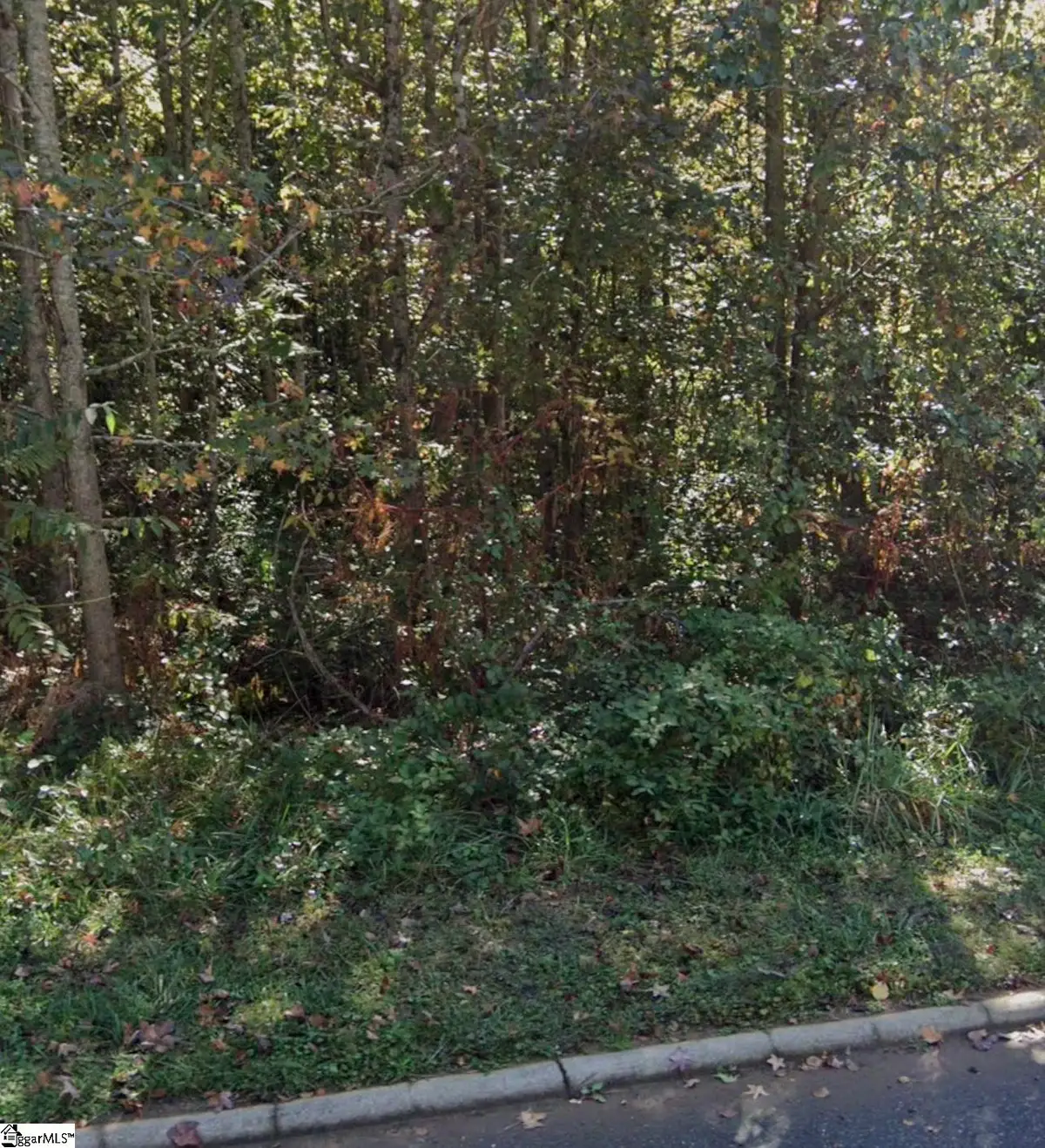 19 Daughtry Court, Travelers Rest, SC 29690 - #1