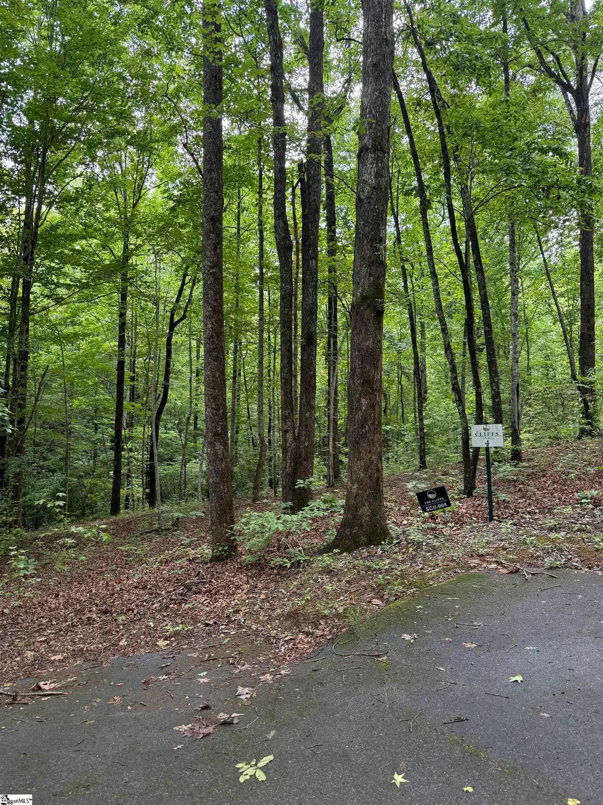 125 Cottage Side Trail, Travelers Rest, SC 29690 - #1