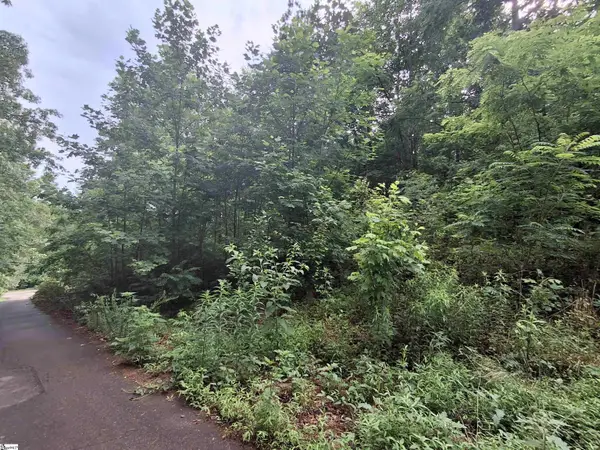 113 High Top Drive, Pickens, SC 29671