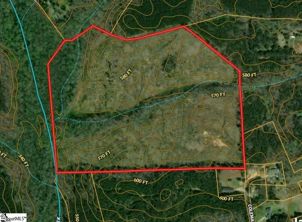 00 Coleman Road, Clinton, SC 29325