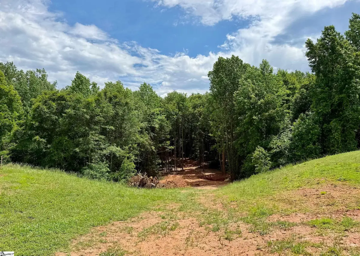 3161 Lorenzo Court, Inman, SC 29349 - #1