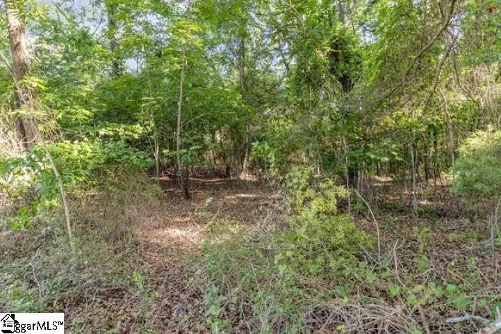 228 Hickory Ridge Road, Townville, SC 29689 - #2