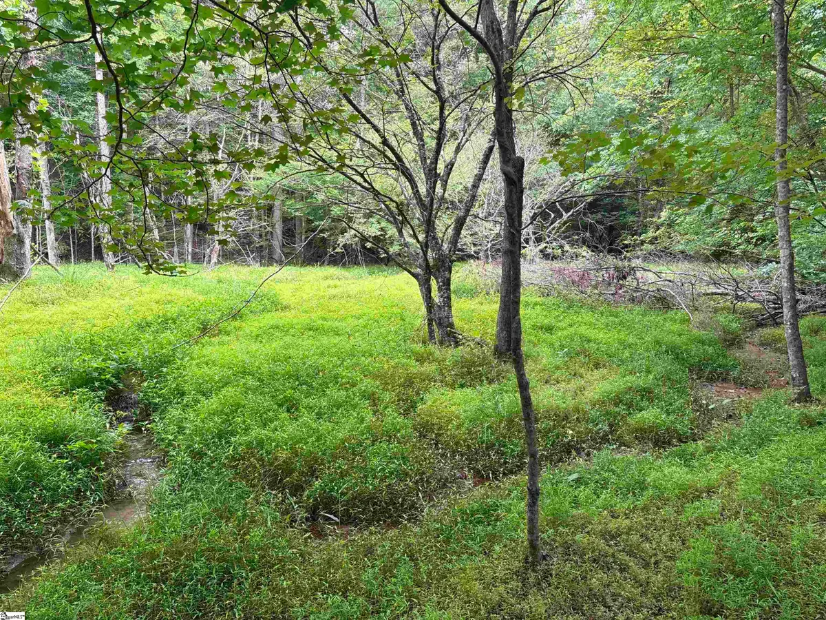 1087 Bobby Facuette Road, Jonesville, SC 29353 - #1