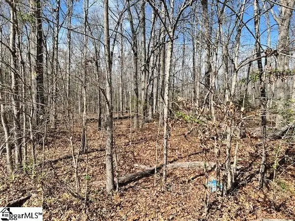 131 Katora Lane, Pelzer, SC 29669