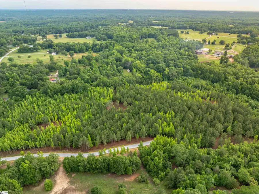 00 Terry Road #Lot 2, Fountain Inn, SC 29644 - #3