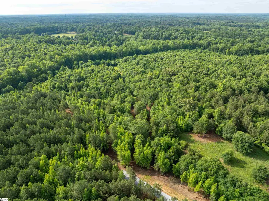 00 Terry Road #Lot 7, Fountain Inn, SC 29644 - #3