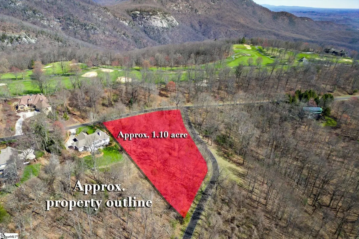 68 May Apple Way, Landrum, SC 29356 - #1