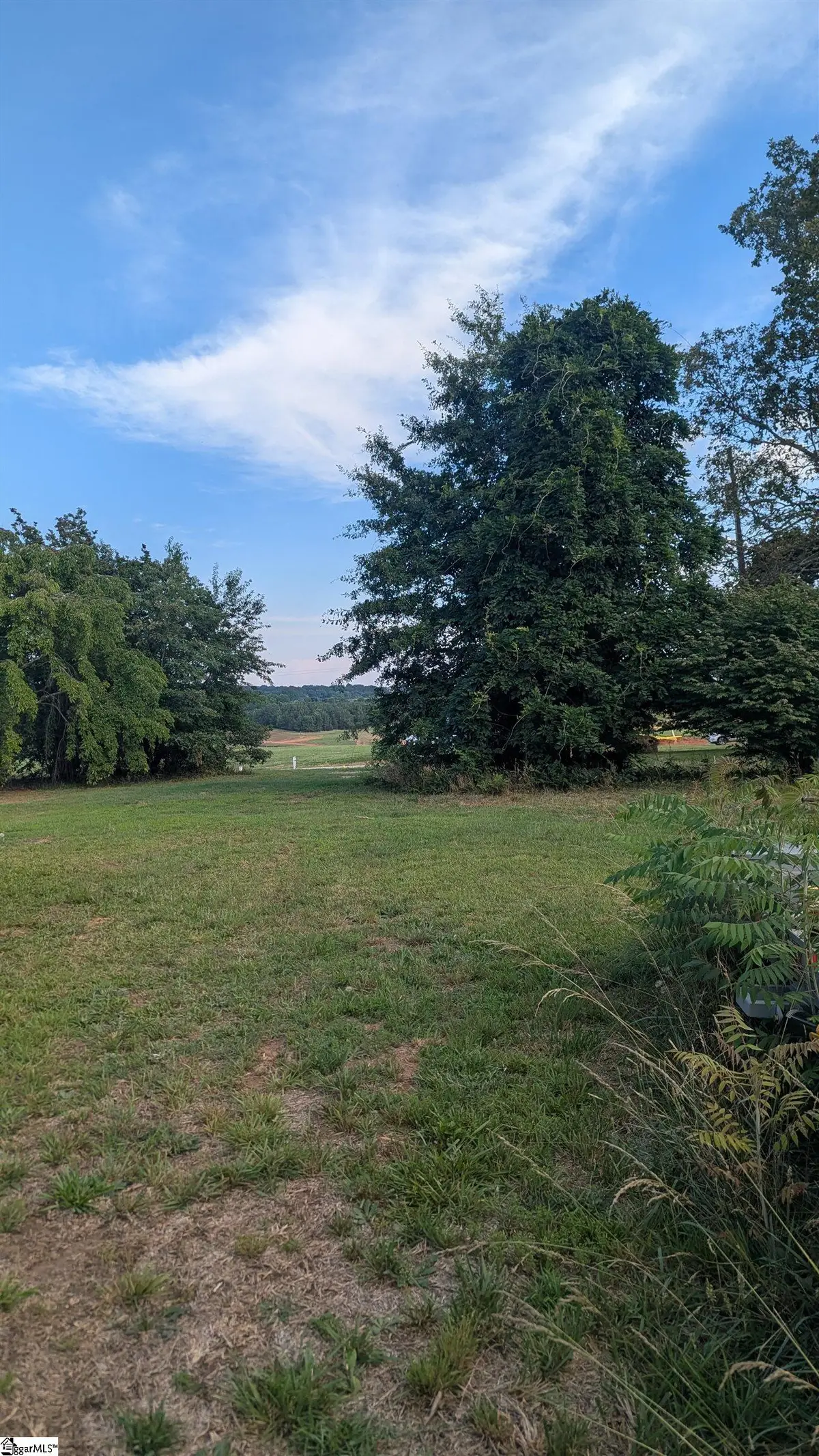 0 Roddy Road, Campobello, SC 29322 - #1