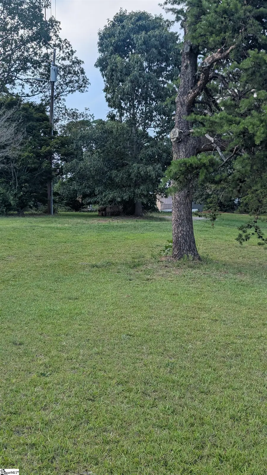 0 Roddy Road, Campobello, SC 29322 - #3