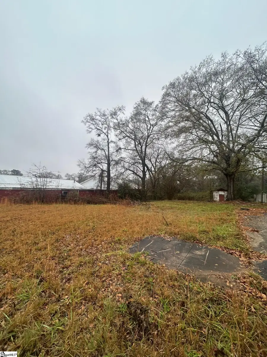 669 N Harper Street, Laurens, SC 29360 - #3