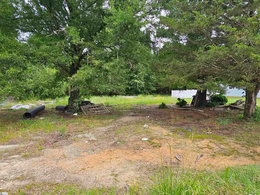 303 Dillon Drive, Clinton, SC 29325 - #2