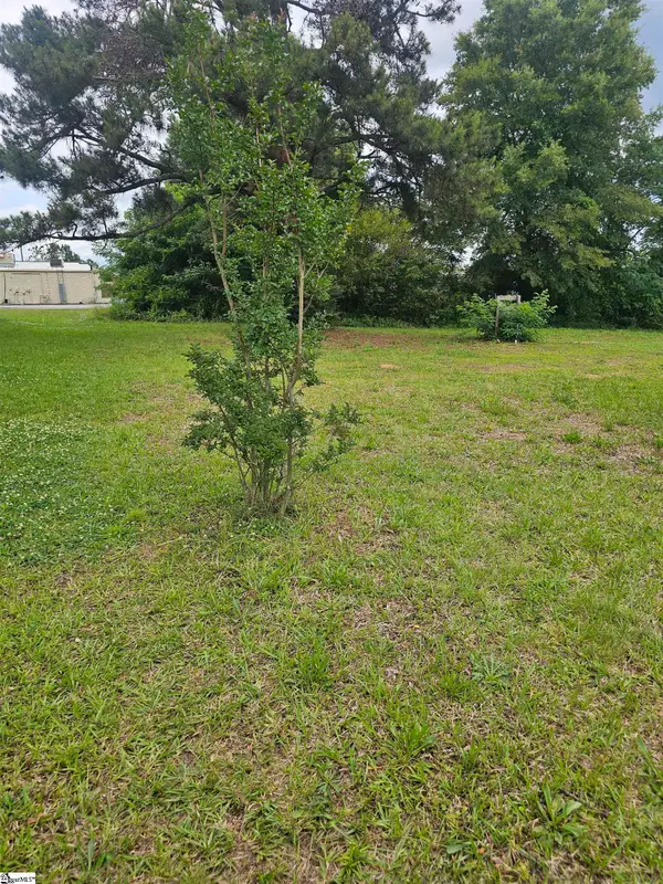 201/203 Dillon Drive, Clinton, SC 29325