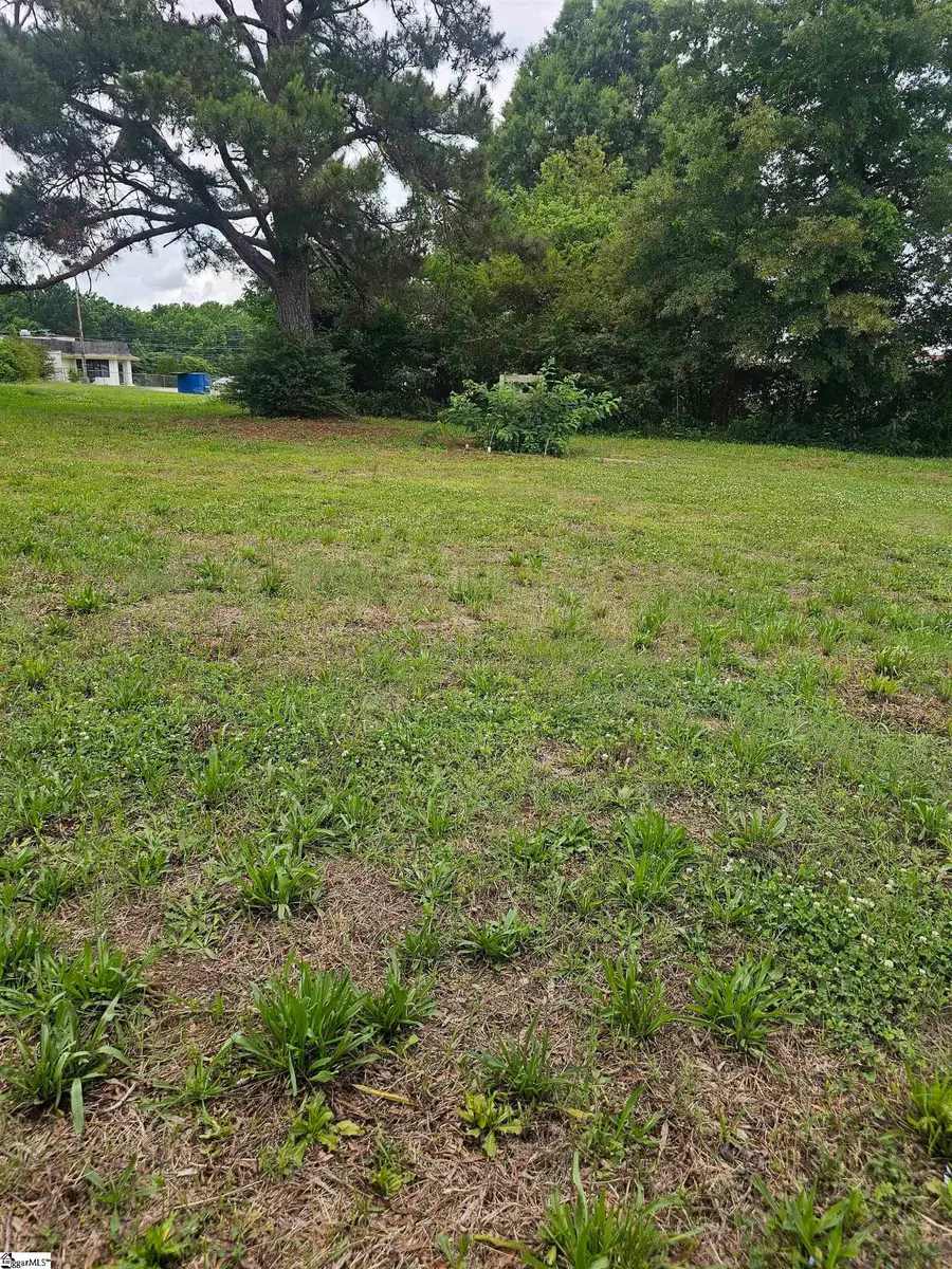 201/203 Dillon Drive, Clinton, SC 29325 - #2
