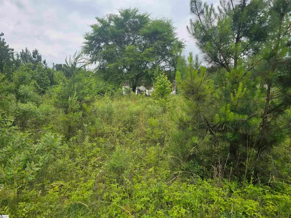 348 Dillon Drive, Clinton, SC 29325