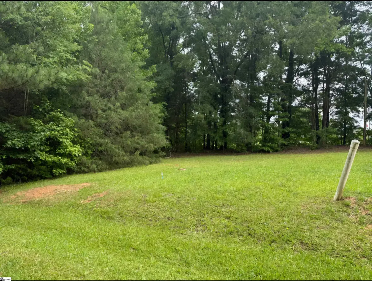 415 Dillon Drive, Clinton, SC 29325 - #1