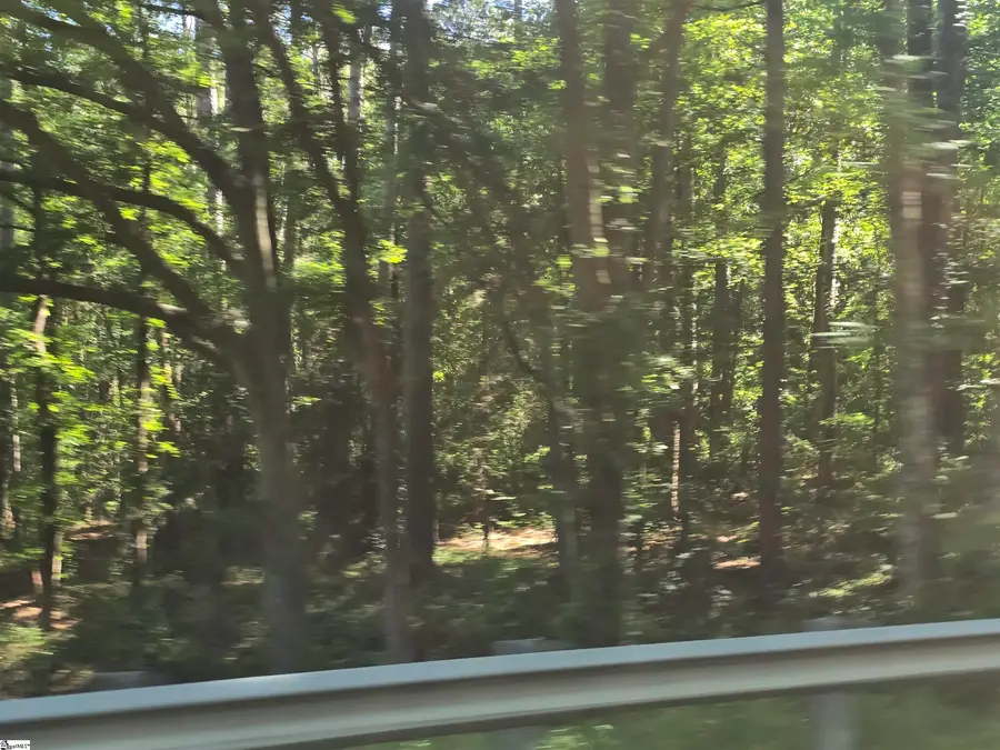 12.3 acres 243 Highway, Townville, SC 29689 - #2