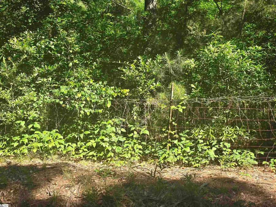 12.3 acres 243 Highway, Townville, SC 29689 - #3