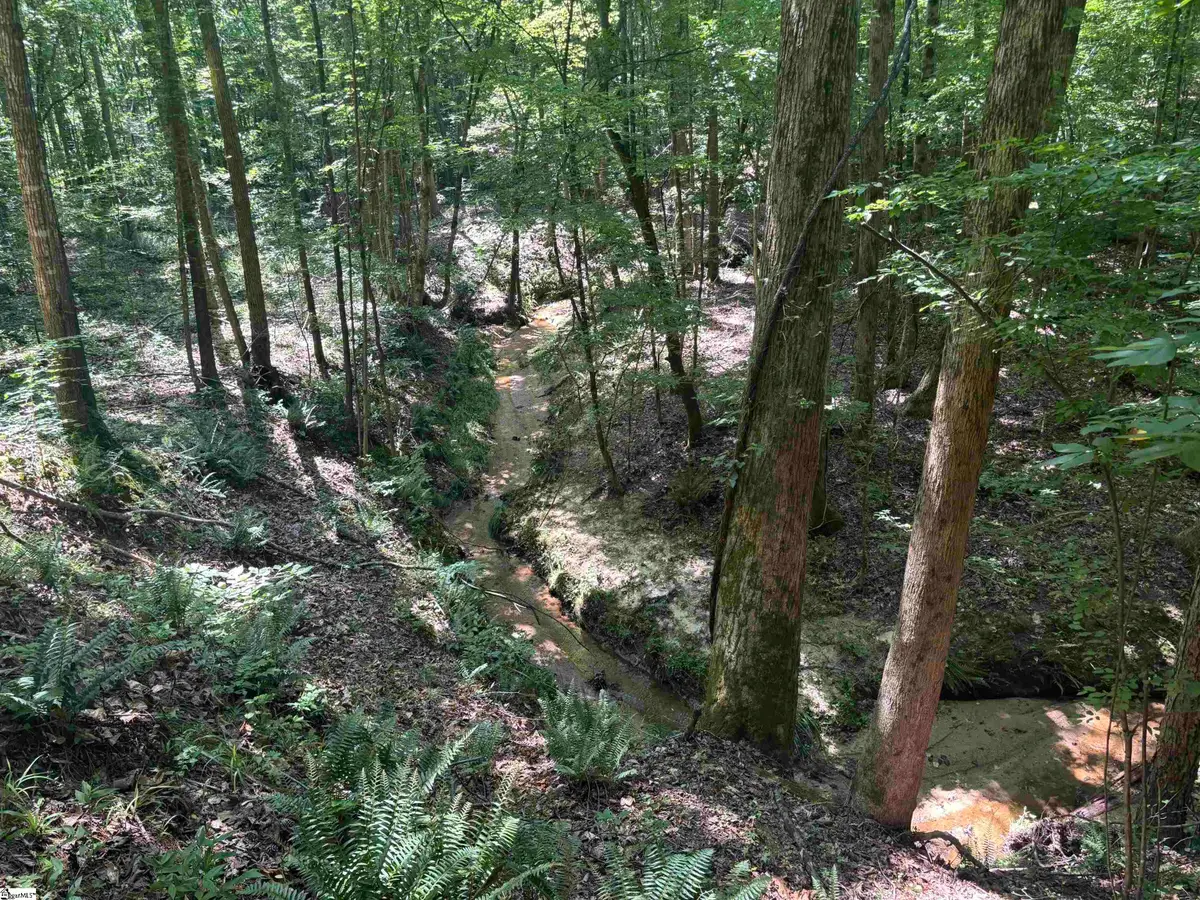 Old Calhoun Falls Road, Abbeville, SC 29620 - #1