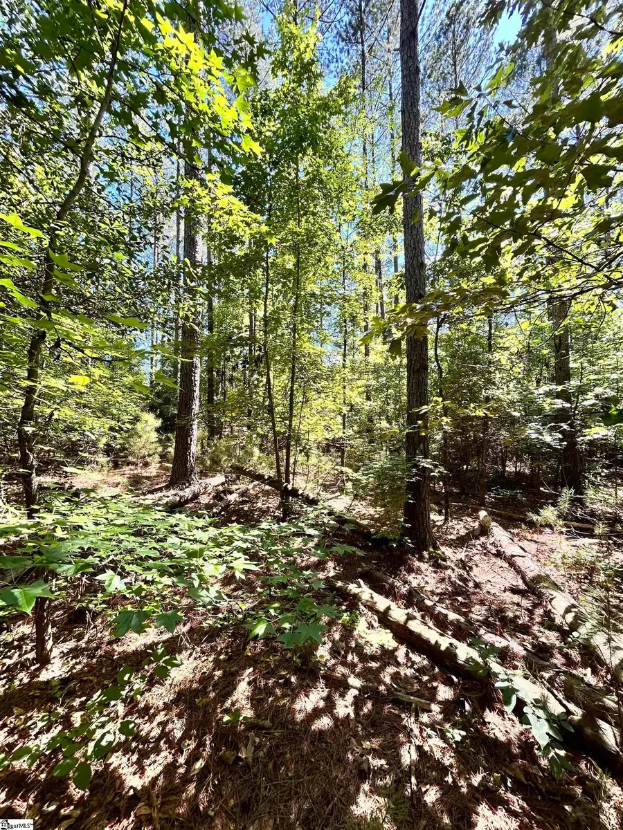 013 Sc - 413 Highway, Anderson, SC 29621 - #2