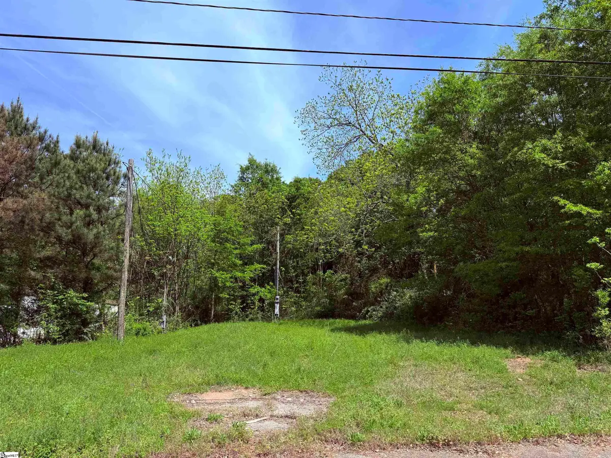 515 Mclure Street, Union, SC 29379-9625 - #1