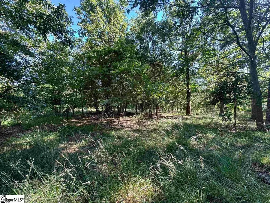 Address Withheld By Seller, Liberty, SC 29657 - #3