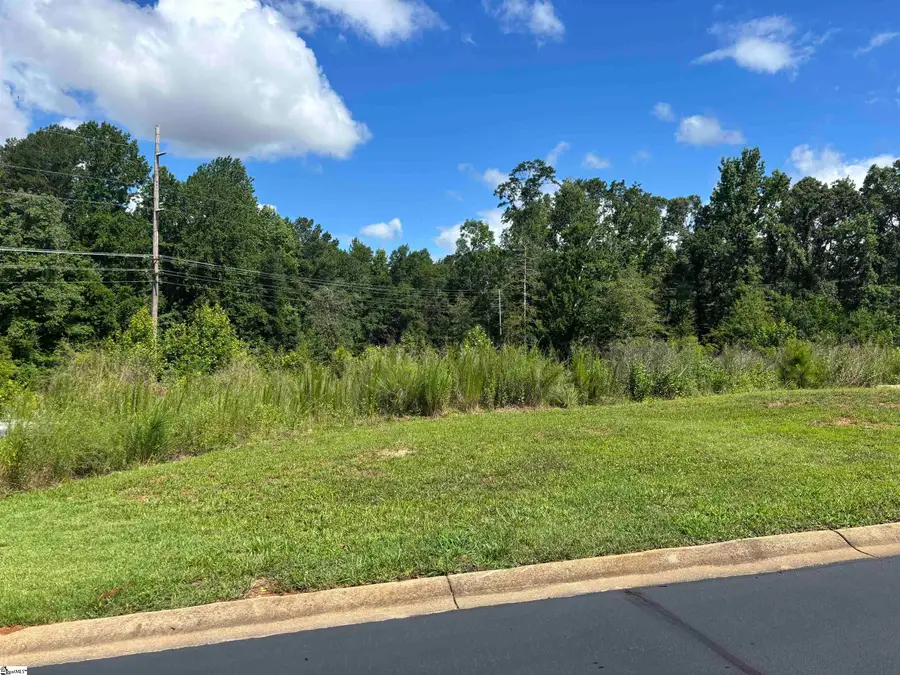 304 Chafford Court, Simpsonville, SC 29681 - #2
