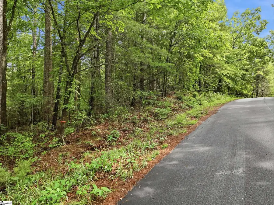 231 Cherokee Hills Drive, Pickens, SC 29671 - #2