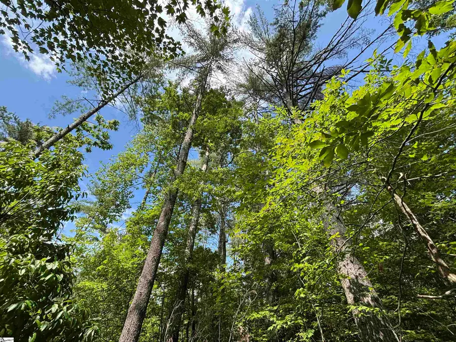 106 Dutchmans Pipe Trail, Sunset, SC 29685 - #3
