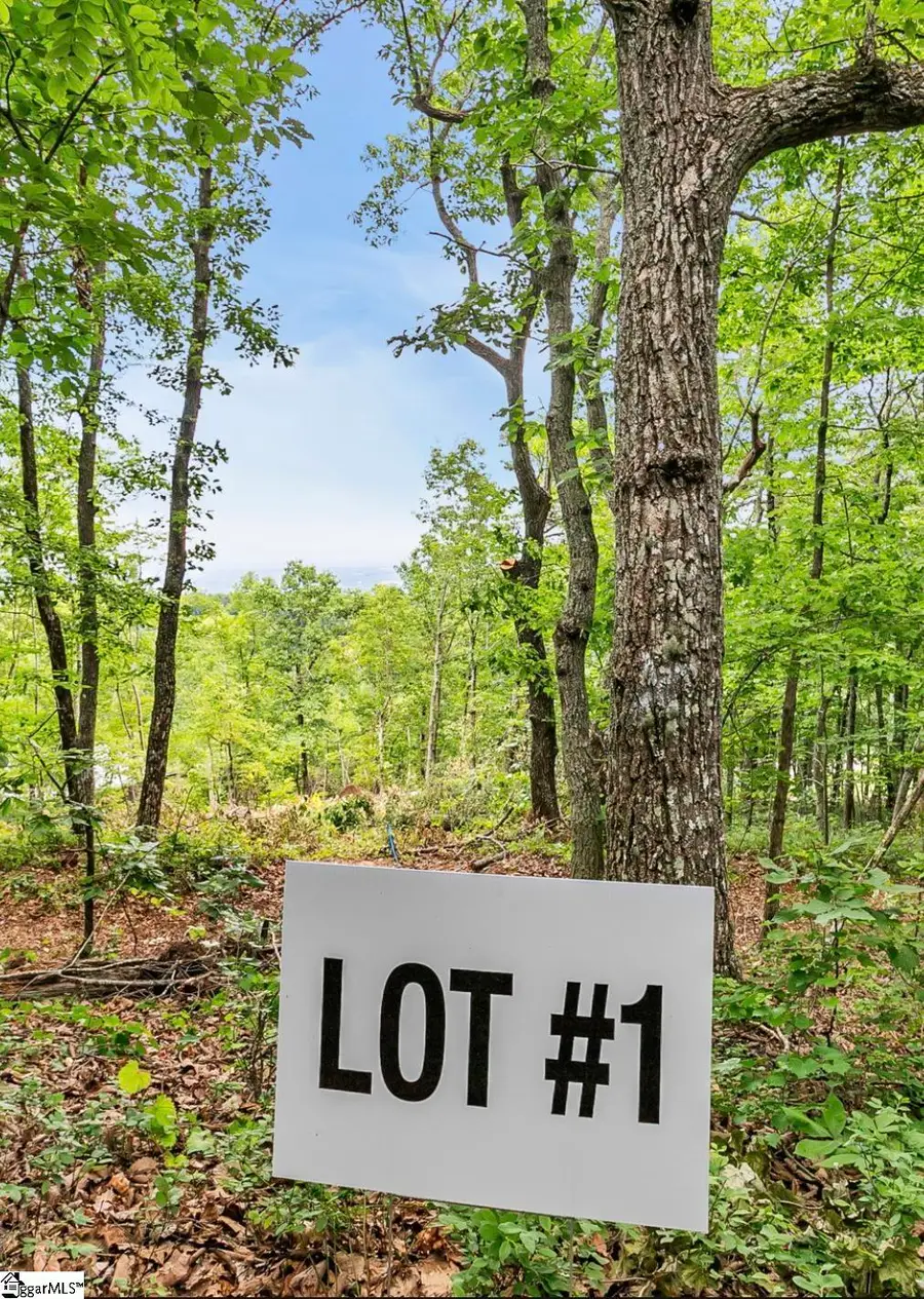 1321 Altamont Road, Greenville, SC 29609 - #3