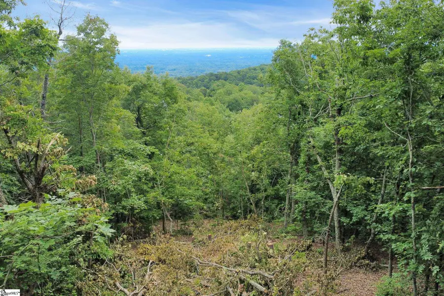 1325 Altamont Road, Greenville, SC 29609 - #2