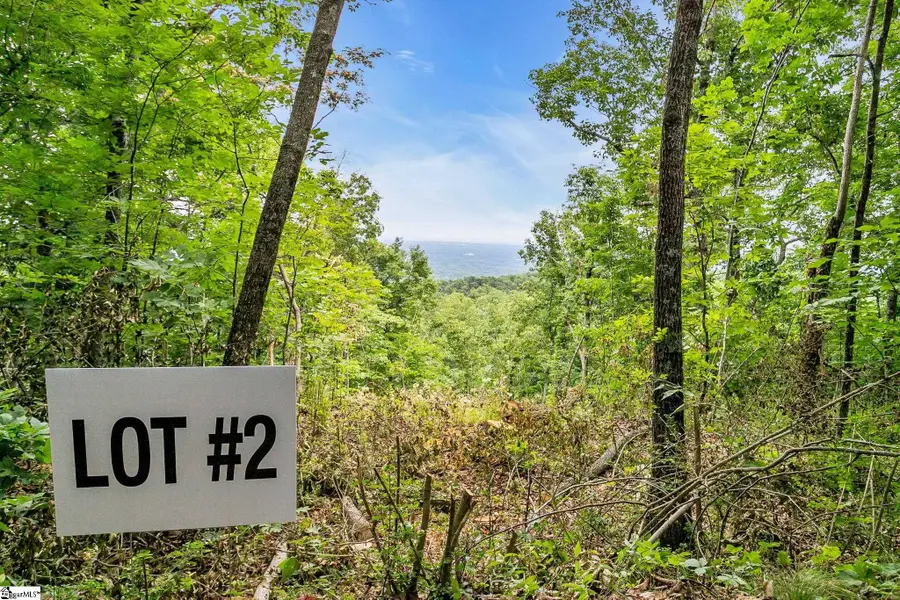 1325 Altamont Road, Greenville, SC 29609 - #3