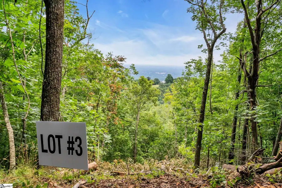1329 Altamont Road, Greenville, SC 29609 - #3
