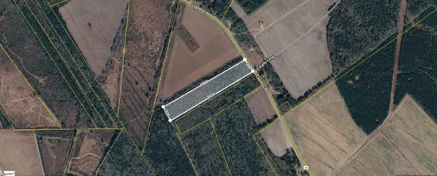 Cypress Road, Bishopville, SC 29010 - #2