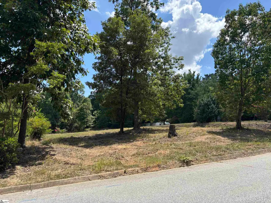 3 Paris Glen Way, Greenville, SC 29609 - #3