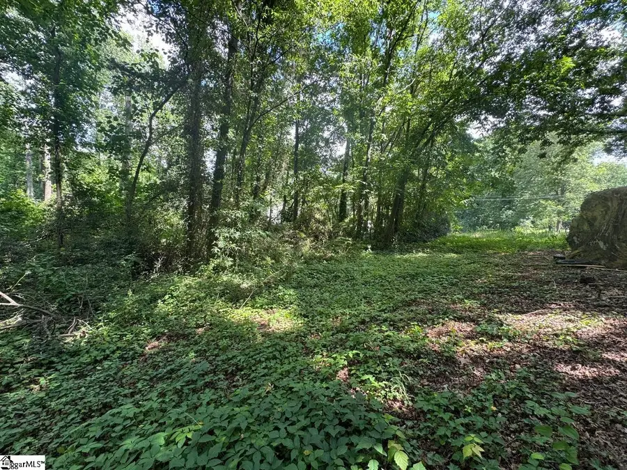 Cone Street, Greenville, SC 29609 - #3