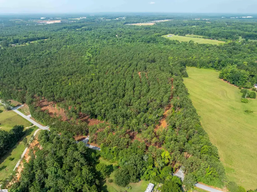00 Cheek Road #Lot 9, Gray Court, SC 29645 - #2