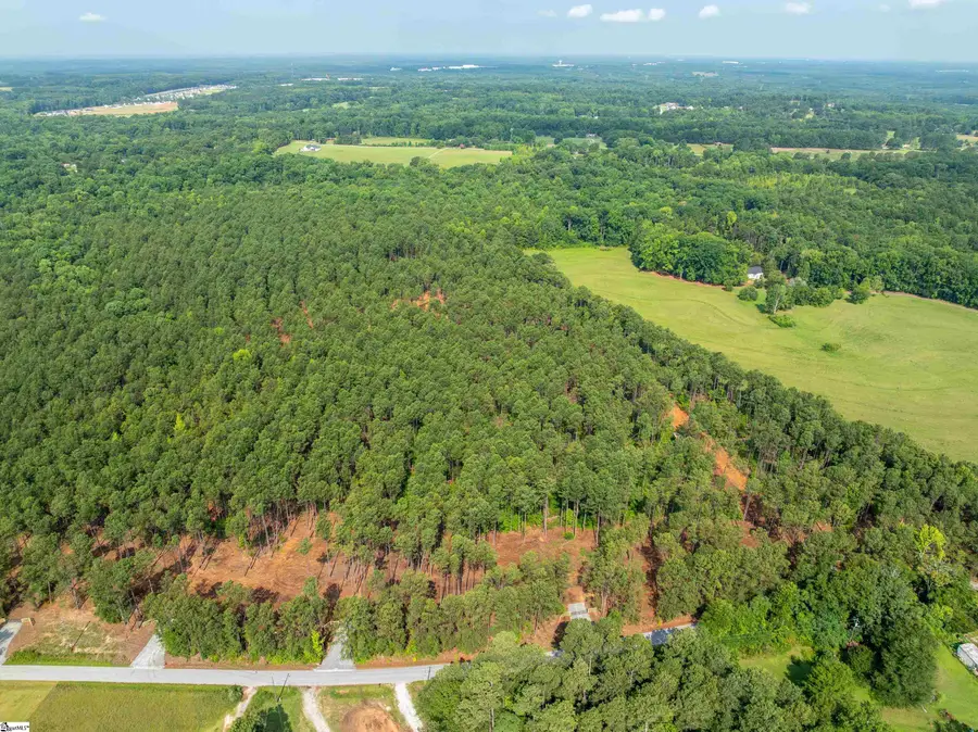 00 Cheek Road #Lot 9, Gray Court, SC 29645 - #3