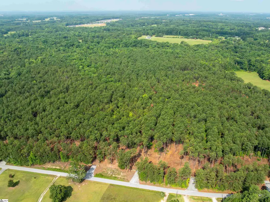 00 Cheek Road #Lot 12, Gray Court, SC 29645 - #3