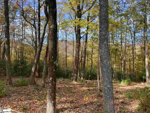 1526 Panther Park Trail, Travelers Rest, SC 29690