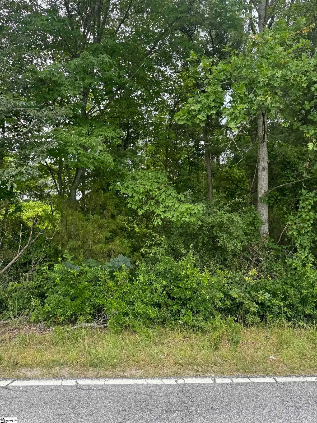 1581 Old Anderson Mill Road, Moore, SC 29369 - #1
