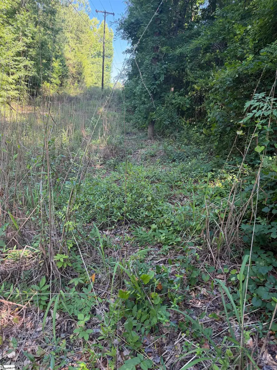 0 Buzhardt Road, Ware Shoals, SC 29692 - #2