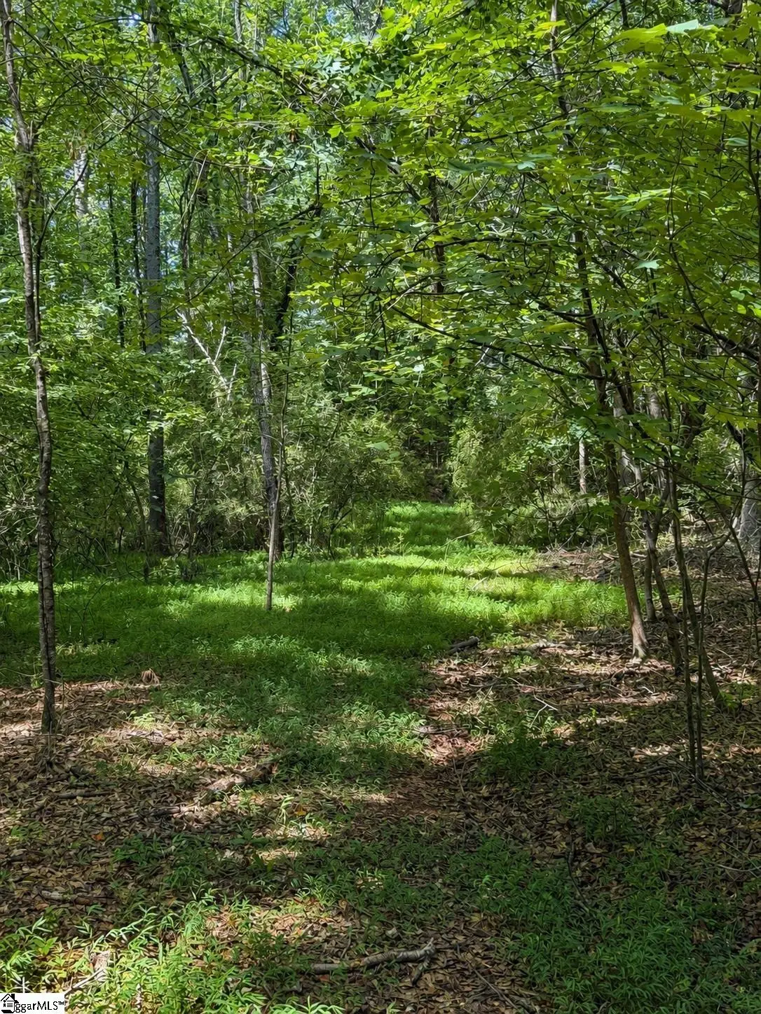0 Circle Road, Easley, SC 29642 - #1