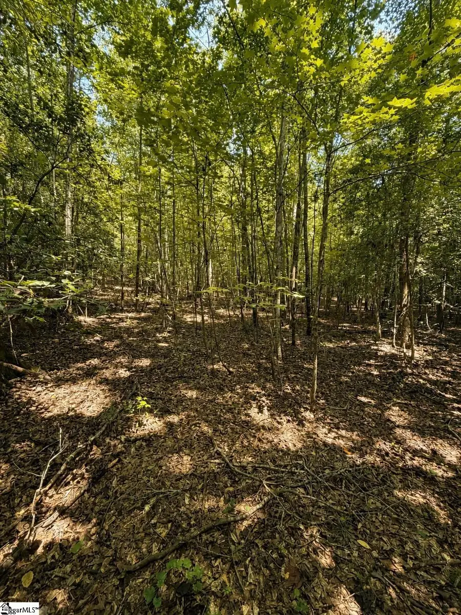 Tract 3 Circle Road, Easley, SC 29642 - #3