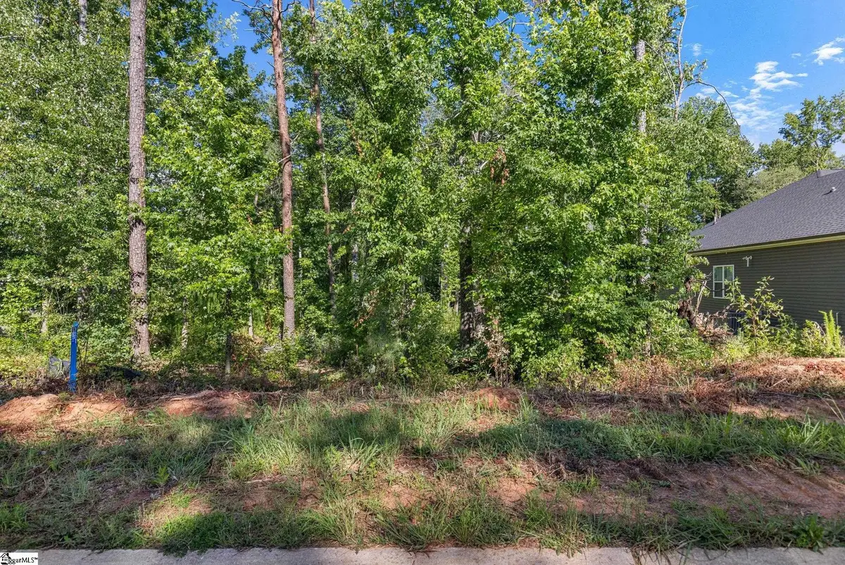 203 Wrenwood Court, Piedmont, SC 29673 - #1