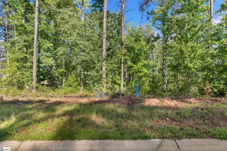 203 Wrenwood Court, Piedmont, SC 29673 - #2