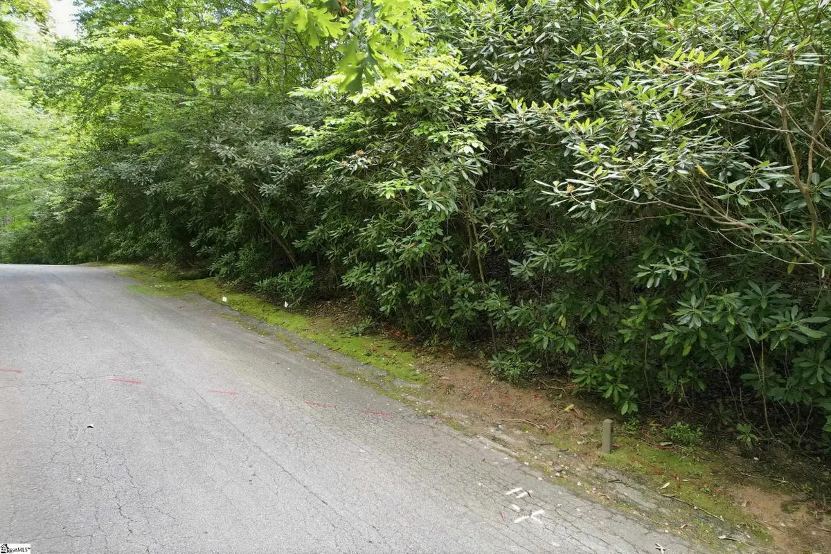 127 Conifer Falls Road, Cleveland, SC 29635 - #1