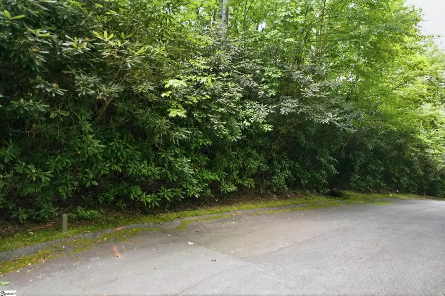 127 Conifer Falls Road, Cleveland, SC 29635 - #2
